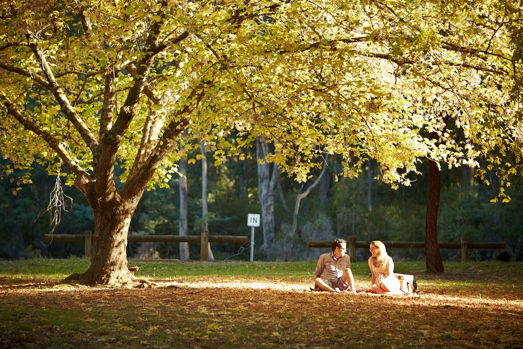 Wangaratta Accommodation North Cedars Caravan Park