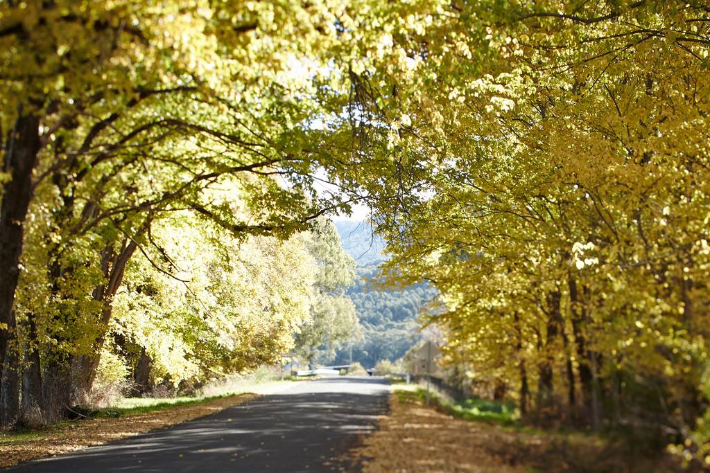 Wangaratta Accommodation North Cedars Caravan Park